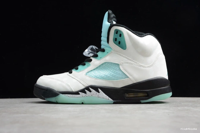 CN2932-100 5 Air Island Jordan Green 1007